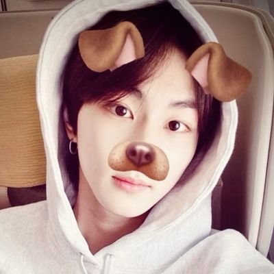 wonisaur's profile picture. eu e os sunwon com 3 neurônios em greve