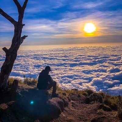 SeniMusikIndon2's profile picture. 