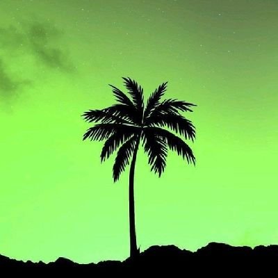 lifeoffnpc's profile picture. none of them happened in one day, maybe it was by one descision. But it all was for some greater good!!! so stfu....👍