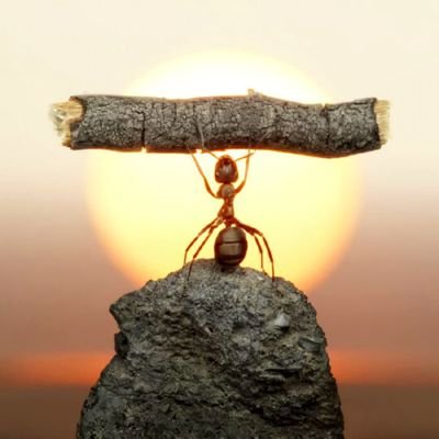 QuantrixAi's profile picture. 