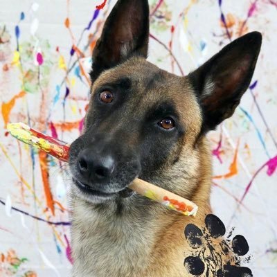MMCrypto290972's profile picture. Follow for #Bitcoin, #BTC, $BTC 🤩