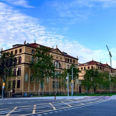 pvdebrad's profile picture. world lover