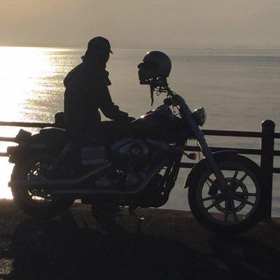 dsfdxdl's profile picture. 