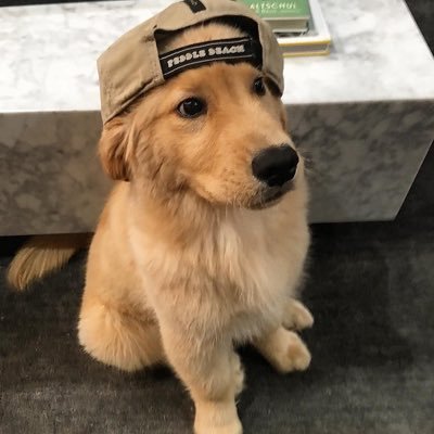 raso_aiai's profile picture. 05 🏋️‍♀️日記とひとりごと