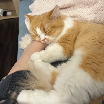 S3ibX's profile picture. 