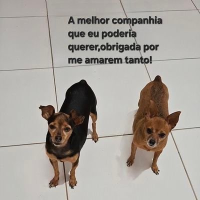 lulumarinhoo's profile picture. 