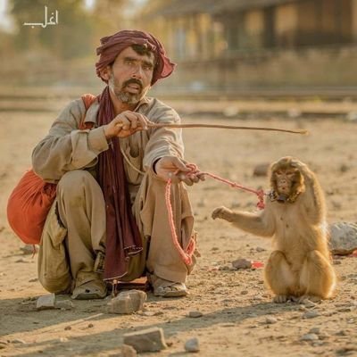 daynamo75's profile picture. دل ہی عیار ہے بے وجہ دھڑک اٹھتا ہے
ورنہ افسردہ ہواؤں میں بلاوا کیسا