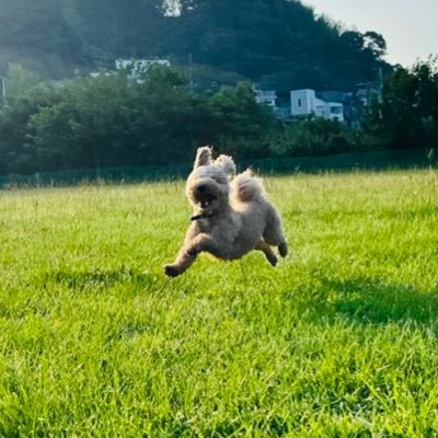 🐱二子山部屋箱推し🐱狼雅関🐺💜 生田目関🐘💜三田関🦍💚相撲好きさんとお友達になりたい🫶🏻🤍いきなりのいいね&フォローお許しくださいませ🥺