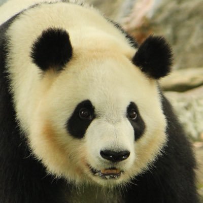 9スさんのプロフィール画像