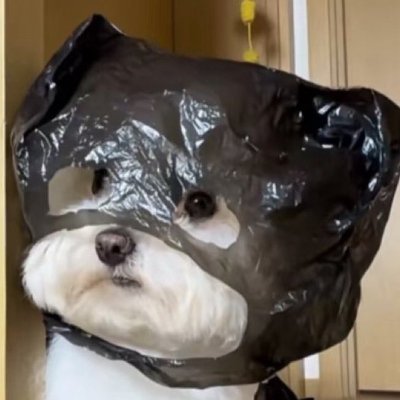 slick_saturday's profile picture. 그정도로병신이됐다고지금?