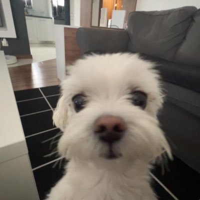 looking for a loyal and trustworthy sugar baby Telegram: elenabeana1