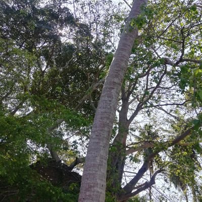 AbhinavJ1987's profile picture. All our dreams can come true if we have the courage to pursue them🙏