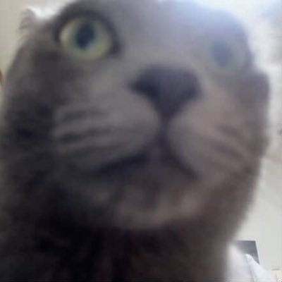 milsungg's profile picture. 