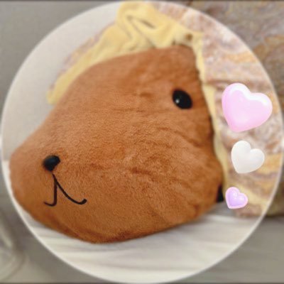 4cuiAIHY1Z70001's profile picture. ぬいぐるみ、カピバラさん、すみっコ、リラックマが大好き。大切にモフったり、一緒にお出かけしたりしています🍀🕊️