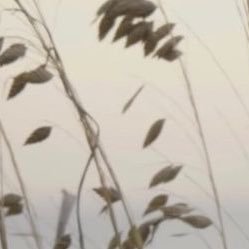 poems, quotes, lyrics and words that remind me of bangtan | slow as i post when i’m reading