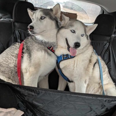 DurocherMa23781's profile picture. 