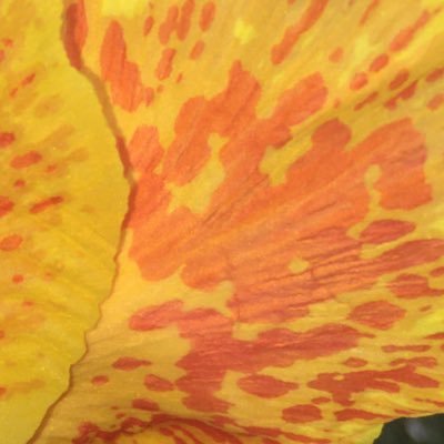 Qingggg_chen's profile picture. 