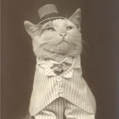 insanehumour_44's profile picture. 