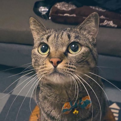 adgjmpt3128's profile picture. 