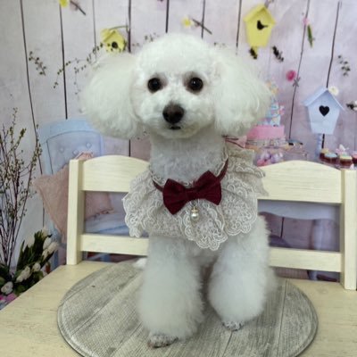 AYA_TFxxx25's profile picture. 25