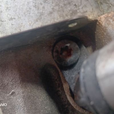 AmadorNorm53227's profile picture. 