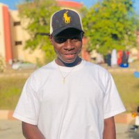 Nandom Albert (@albertnand6091) 's Twitter Profile