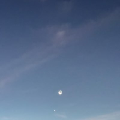 luisort29447450's profile picture. 🇳🇱🇩🇴