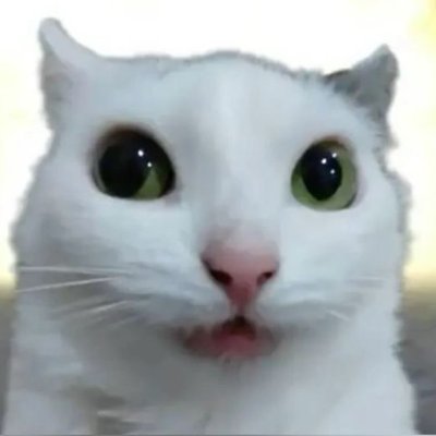 wanpengs's profile picture. 