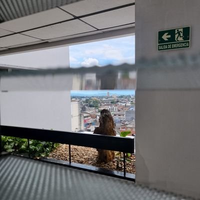 Cosmifer's profile picture. Ciudadana.
Psicóloga feminista.
Ep. en ps Social, coop y dllo.
Mg en Comunicación, dllo y cambio social.
Creadora @almacreacion.
Devenir podcaster.