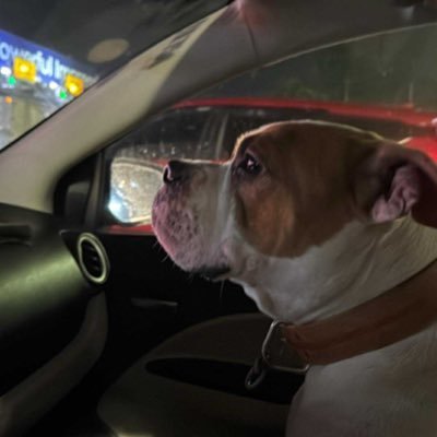 Cherrruu's profile picture. Hopia Mani Batchoy✨