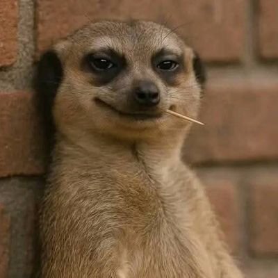 AlimaAyox's profile picture. Web3 Strategist | Passionate about blockchain, innovation & impact | Bridging digital freedom with real-world solution | let's build the future