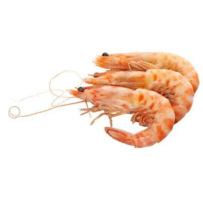 noconshrimp's profile picture. i am an account that takes bits from @taytori's discord server. ran by @sun_breakerr (will be updated periodically) dm to remove a post