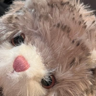 pipiPpipi222's profile picture. 避難先🥲