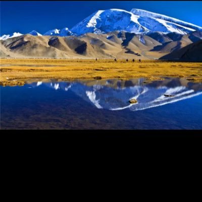 qin88484's profile picture. 上帝即公义与爱 ，中国共产党是没有人民选票授权的非法政府，共产党是万恶之源，共产党是邪教组织，共产党用暴力谎言，反人类反人性的奴役中国人民。结束共产党统治，自由中国人民！