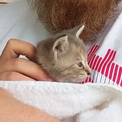 We are a family of 8 (rescue) cats and 3 human staff trying to survive
Our Shop https://t.co/tuoYGLnCQ7
Our Links https://t.co/EvcC0hikch