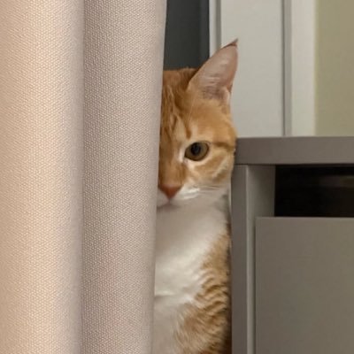 aaeriday's profile picture. 그냥...