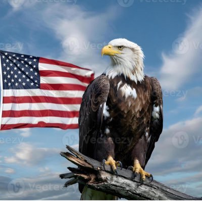 lisa_white51590's profile picture. 