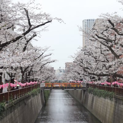 Arado70195046's profile picture. 