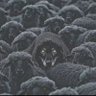 Mouss_zkp's profile picture. Se tromper et recommencer jusqu’à réussir... Demain il fera beau Inchallah.Crypto Gaucho #btc #polkadot #zkp #astar #dog #rune🇲🇦🇵🇸