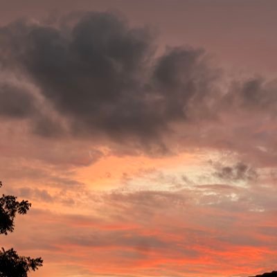 soloriocri81561's profile picture. 