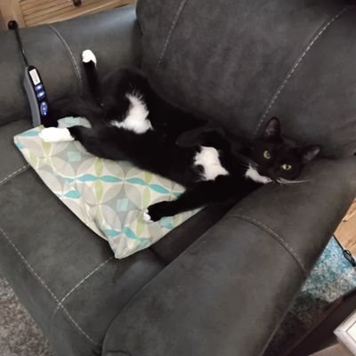 RonaldJohn157's profile picture. 🇺🇸🇺🇲
I'm hoping Trump will turn the country back towards sanity. 
I pray my grandchildren will live in a free America🇺🇸🇺🇲