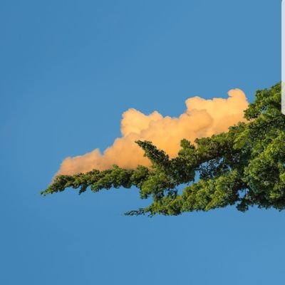 kr1j_'s profile picture. cs2 & rust skinmaker