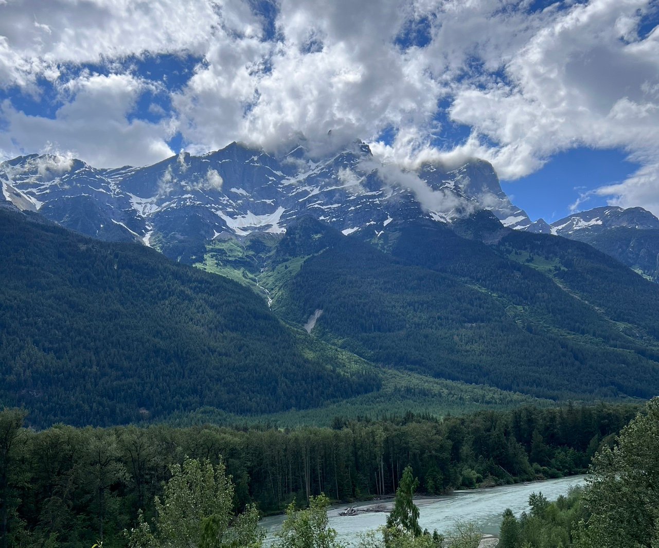 Stressfreeskor's profile picture. 