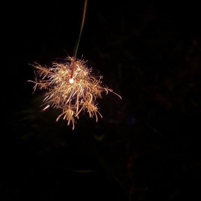 seen_toa's profile picture. 仙台 裏垢男子 24 スポーツ系