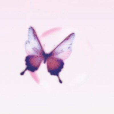 designersextoyz's profile picture. 