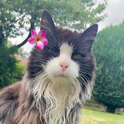 marmorera54's profile picture. Il est facile de vivre les yeux fermés, en interprétant de travers tout ce que l'on voit (Lennon)