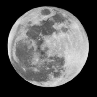 SlakeModsefa's profile picture.
