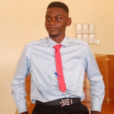 TemiloluwaAdey's profile picture. Frontend Web Developer... Graphics Designer... Financial Accountant 💙...
