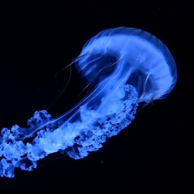 cincyyuu_X's profile picture. 