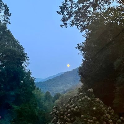 KellyMa76097298's profile picture. 